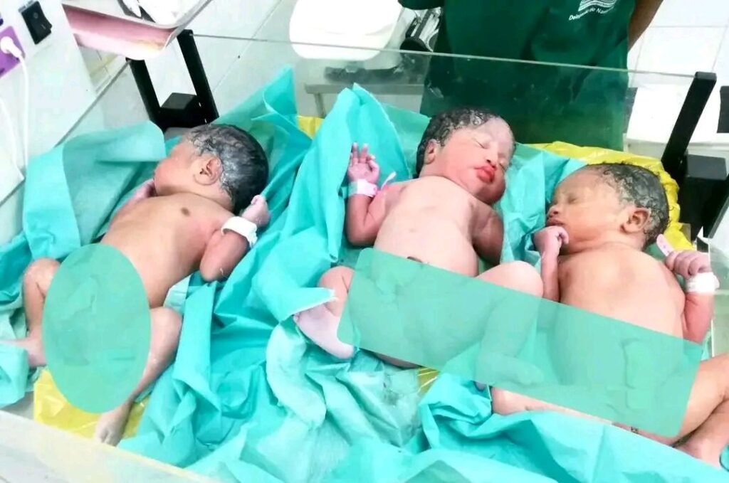 17741819359884763389027303648780-1024x679 Mãe da Luz de trigèmeos em Namupla e medicos ficam supreendidos